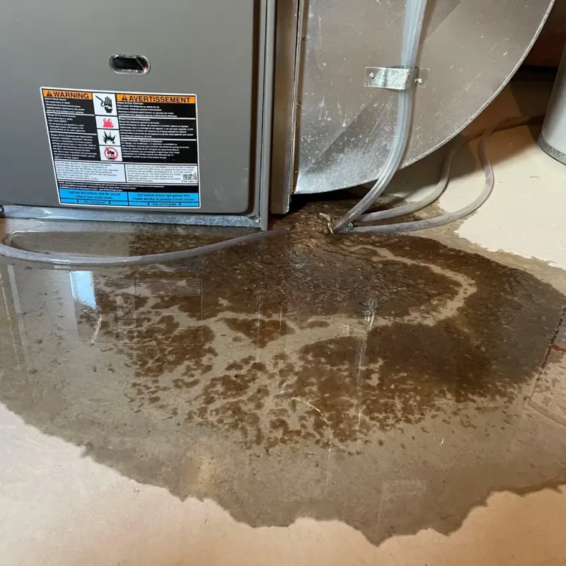 Appliance Leak Cleanup in Gibsonville, NC