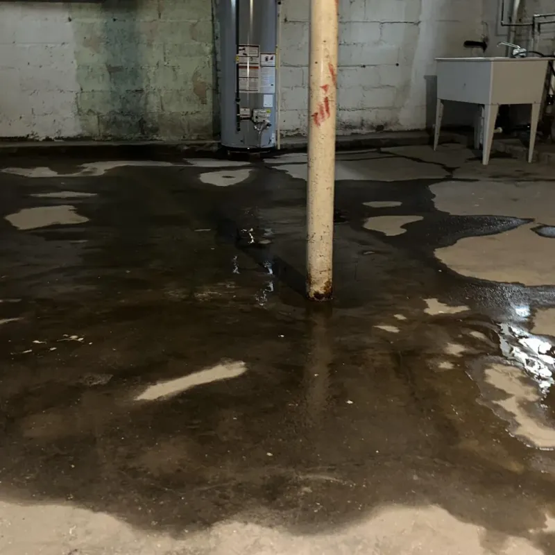 Emergency Water Extraction And Removal in Gibsonville, NC